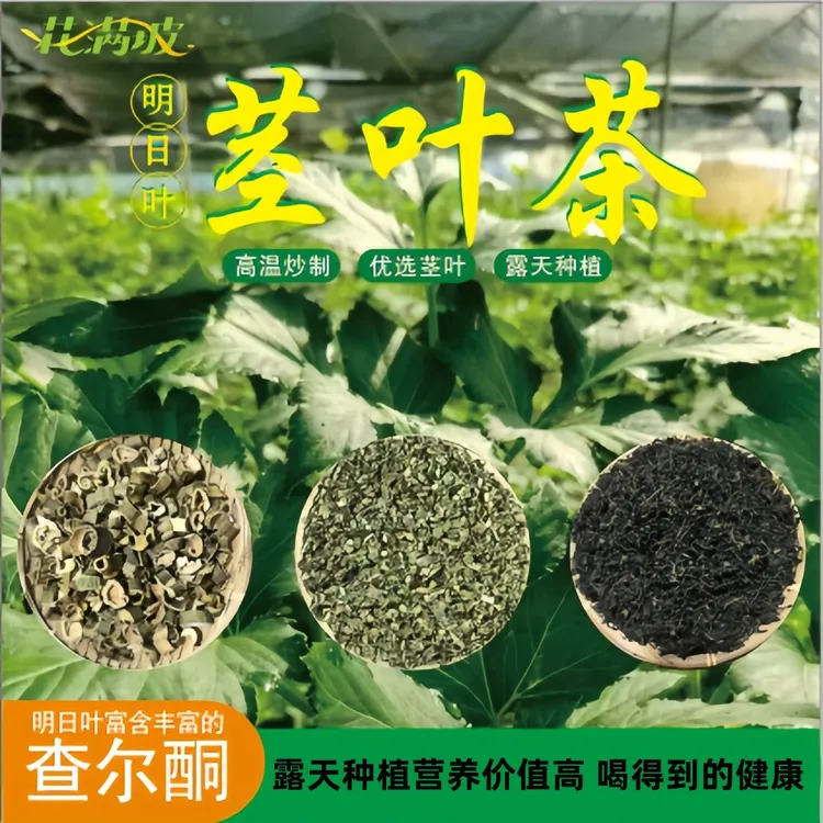 咸草茶含查尔酮露天种植新茶长寿草神仙草原产地手工浓香耐冲泡
