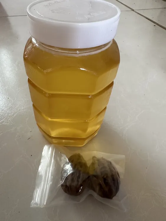 野生山核桃一对(赠蜂蜜一瓶1000克)