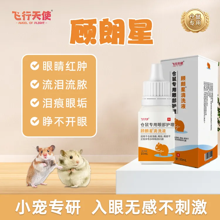 飞行天使顾朗星滴洗液仓鼠眼睛红肿金丝熊流泪流脓发炎睁不开眼