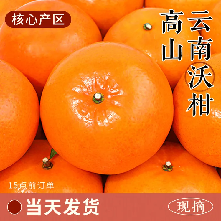 高山云南沃柑整箱橘子新鲜水果当季一级沙糖蜜橘砂糖新鲜高山沃柑