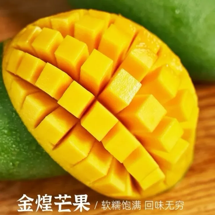 果之优广西小金煌芒新鲜采摘芒果（催熟后食用） 