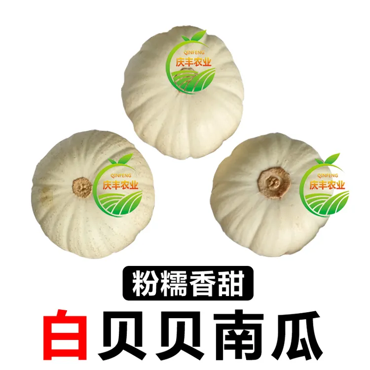 白贝贝南瓜正宗奶油贝贝南瓜现摘老南瓜粉糯香甜适合孕妇婴儿辅食