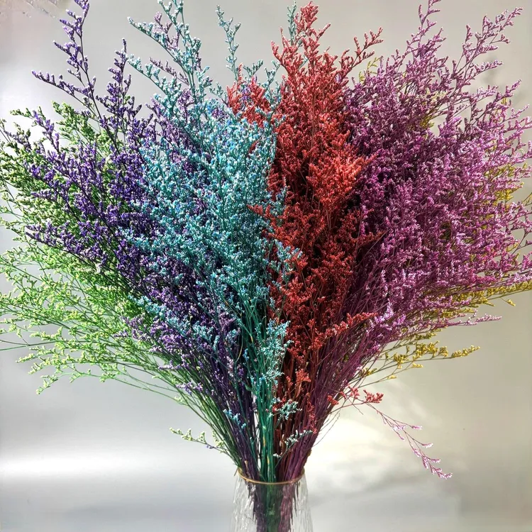 情人草永生花真花家居装饰橱窗插花摆件DIY干花材料 云南厂家直供