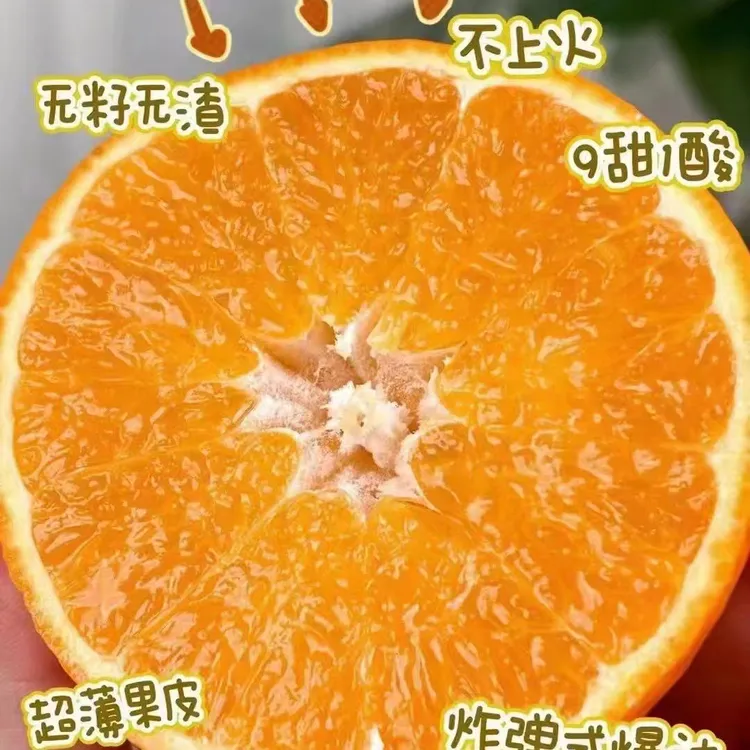 四川正宗爱媛38号果冻橙当季头茬手包鲜果