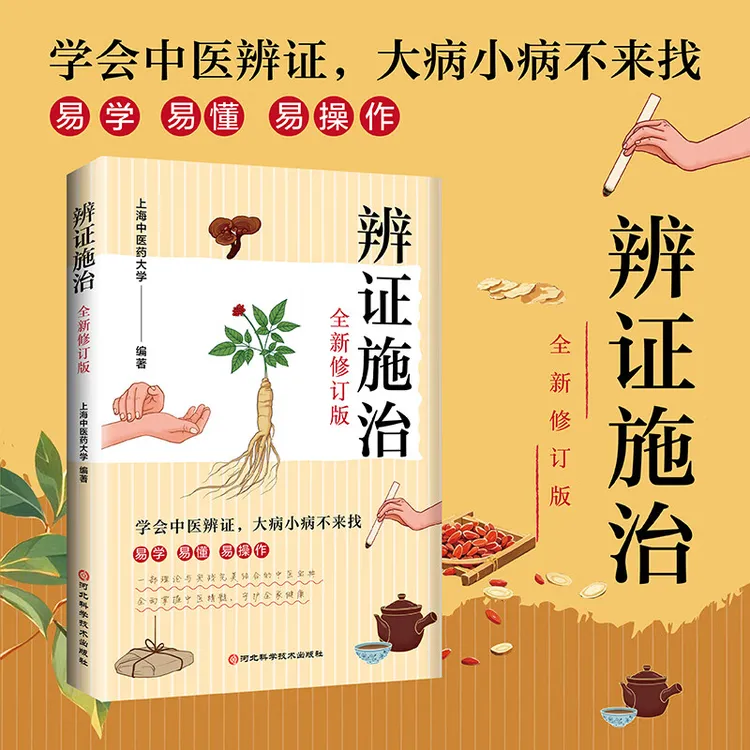 辨证施治 全新修订版 中医辨证易学易懂理论与实践结合的中医宝典