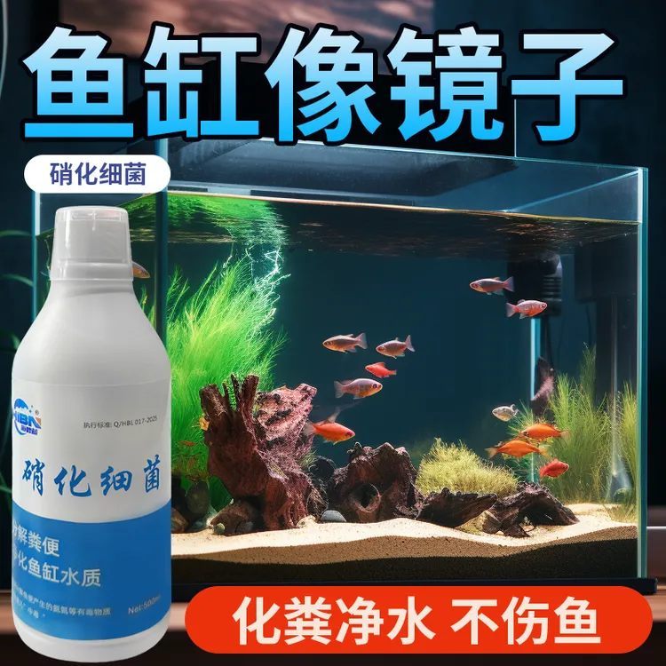 【轻松打造空气缸】硝化细菌鱼缸净水分解氨氮亚硝酸盐水族硝化活菌