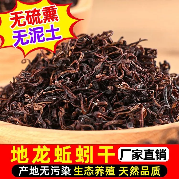 正宗青蚯蚓干地龙黄鳝饵料新鲜晒干户外钓鱼乌龟饲料鱼饵垂钓诱饵