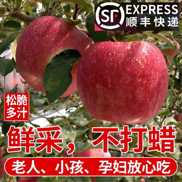 【果园现摘】正宗高山果园秦脆苹果新鲜应季脆甜多汁产地直发礼盒装