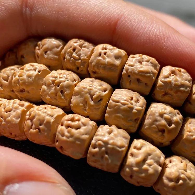 金刚菩提珠串龙切五爪金龙暴力归圆单圈10mm左右