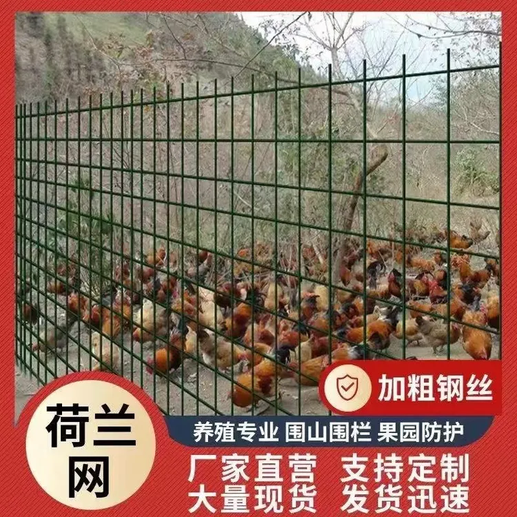 铁丝网围栏硬塑养殖网养鸡网荷兰网栅栏钢丝网隔离铁网防护网户外