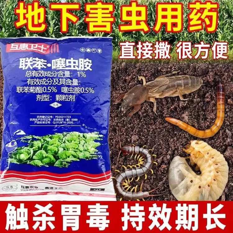联苯噻虫胺2斤装跳甲克星颗粒直接撒地下害虫专用跳甲杀虫剂农药