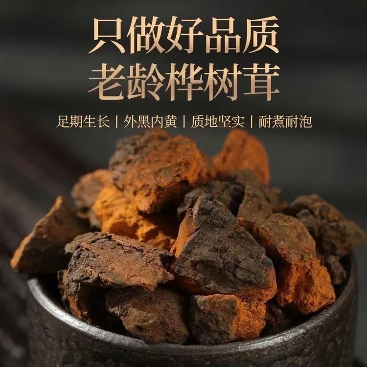 【桦树茸】云南大山自然生长自然晒干无熏硫