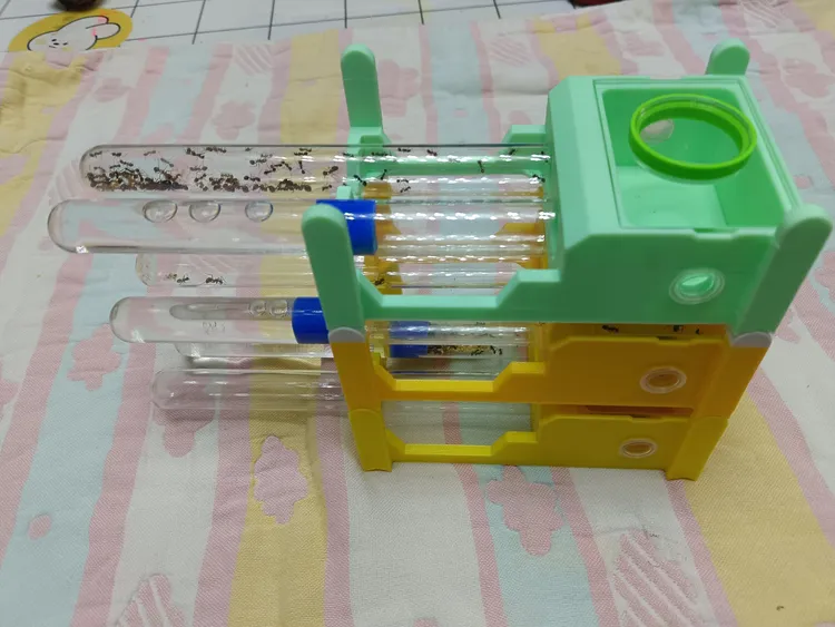 3D打印双试管蚂蚁巢无限堆叠版方便换管观察新手养蚁适用