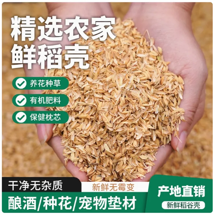 东北稻谷壳稻壳炭农家天然腐熟水稻枕头芯料芦丁鸡发酵床酿酒饲料