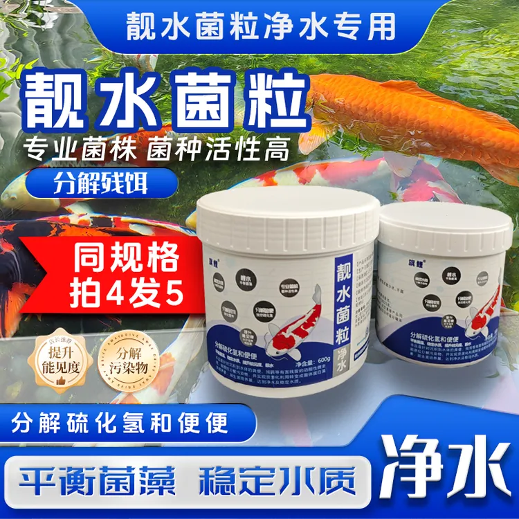 旗鲤靓水菌粒鱼池专用净水改底除臭分解鱼便降底温稳定水质有益菌