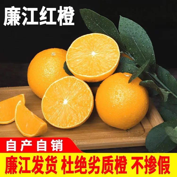 【晶晶家乡廉江红江橙】正宗廉江红橙南方水果广东红江橙(花皮果)
