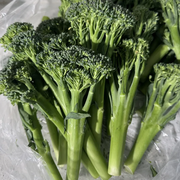 新鲜甜杆西兰苔 广西露天种植 当季时令蔬菜口感鲜嫩