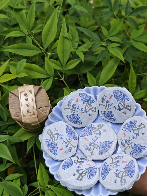晴禧茶堂【虎啸听泉古树便携笋壳】虎啸听泉生普小笋壳圆饼生茶