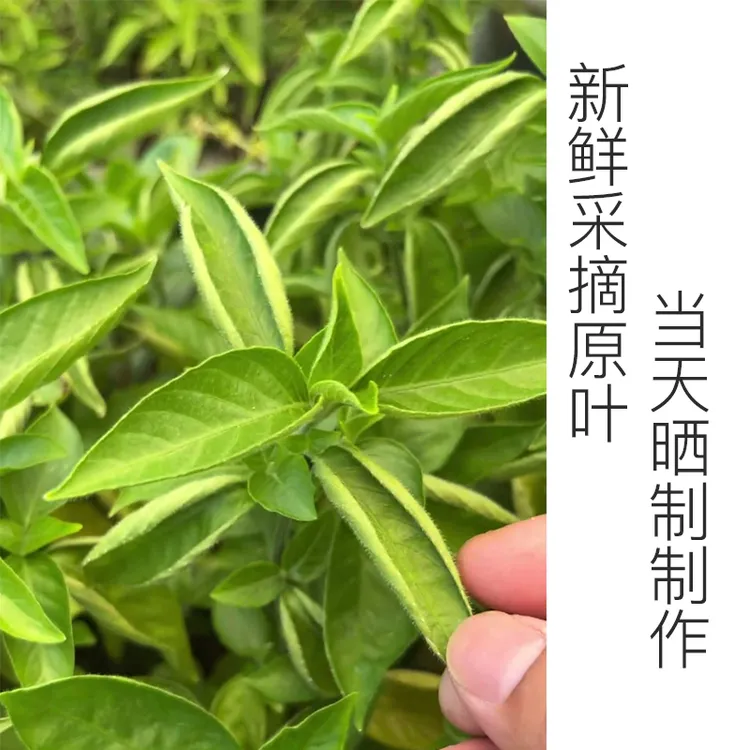 青草大师柯校推荐潮汕特产青草红汁草250克装