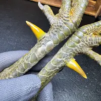 文玩鸡爪骨手把件（一对 处理好十天左右发货）