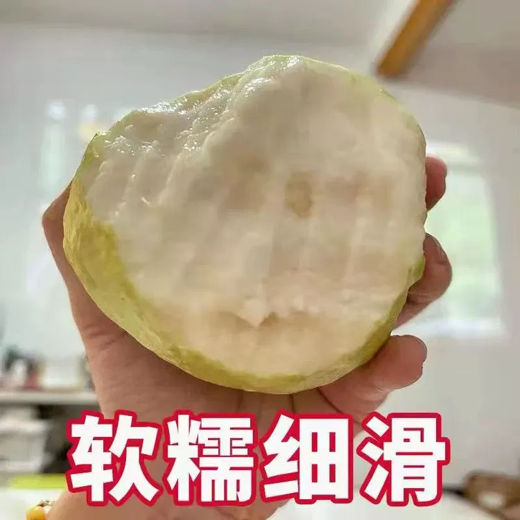 广西当季白心奶油芭乐新鲜水果香甜多汁软糯口感