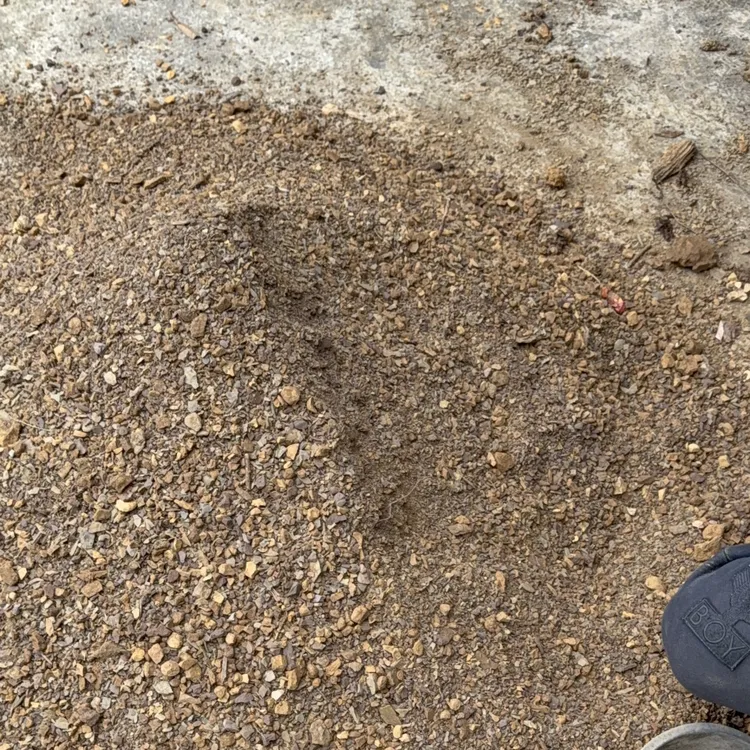 君子兰风化土适合金弹子马樱花等植物