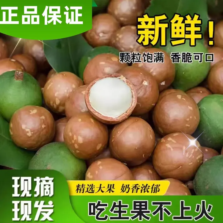 云南新鲜夏威夷果新鲜无添加原味孕妇宝妈可食特大夏威夷果500g