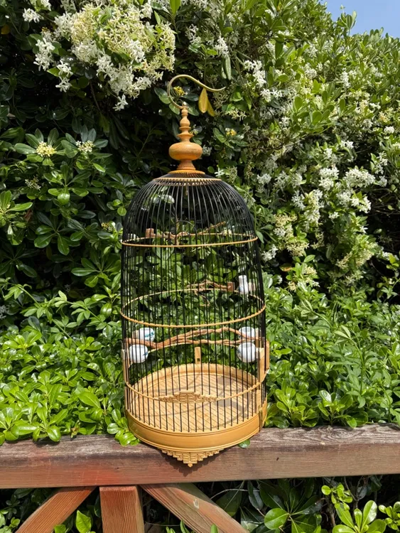 越南原装进口太阳鸟笼绣眼笼小黑白笼柳莺笼直径26高度46丝距0.9