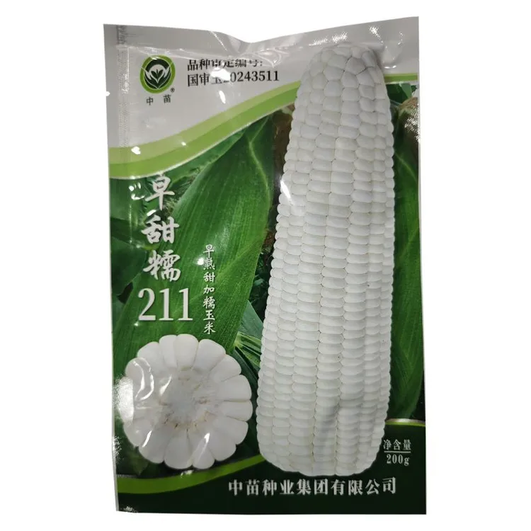 国审原装早甜糯211特早熟白甜糯玉米种子矮秆甜糯型高产绿皮大棒