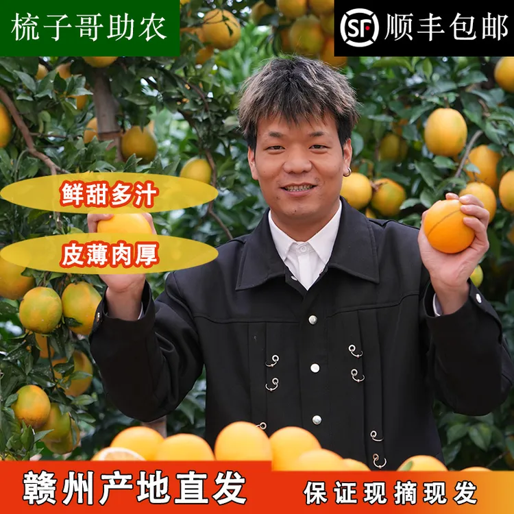 （梳子哥助农）10斤5斤装赣南信丰脐橙新鲜水果现摘现发香甜爆汁