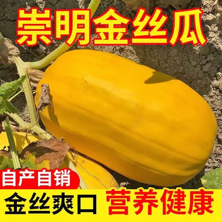 [发顺丰]崇明老品种老金瓜加工出丝凉拌全国名特优新农产品认证