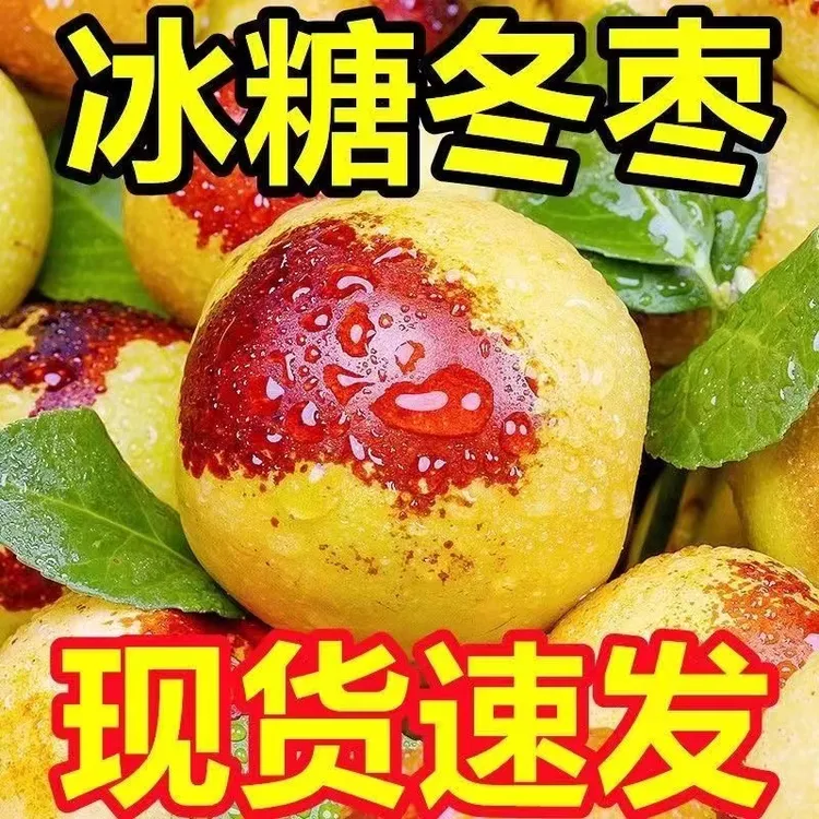 【冰糖冬枣】山西冬枣现摘冰糖冬枣新鲜水果脆甜个大应季化