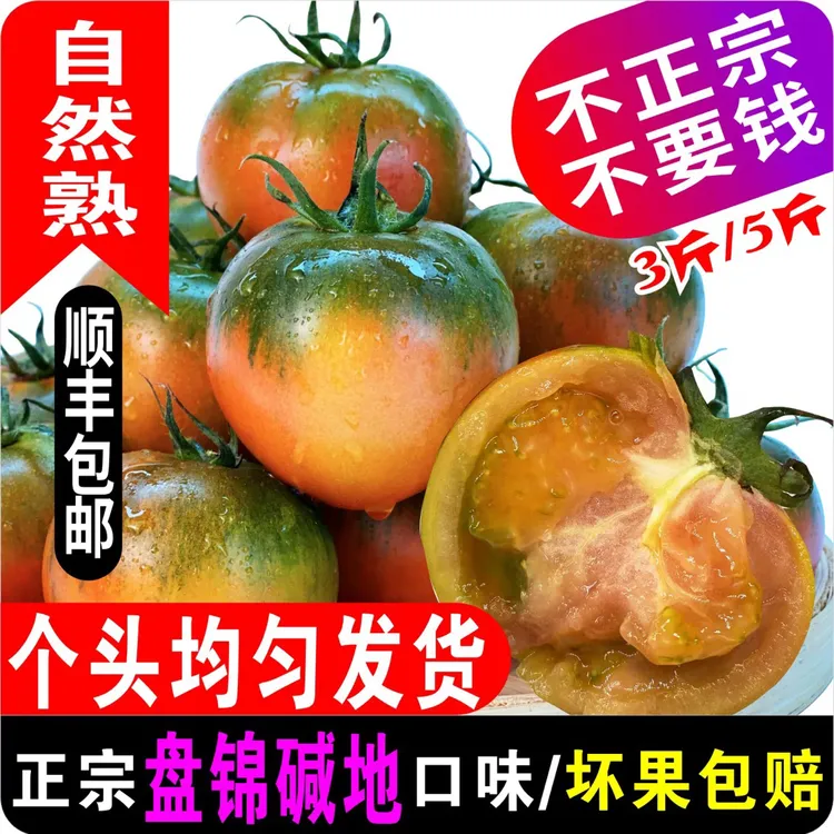 盘锦碱地柿子即食新鲜自然熟绿腚番茄水果西红柿【3/5斤顺丰包邮】