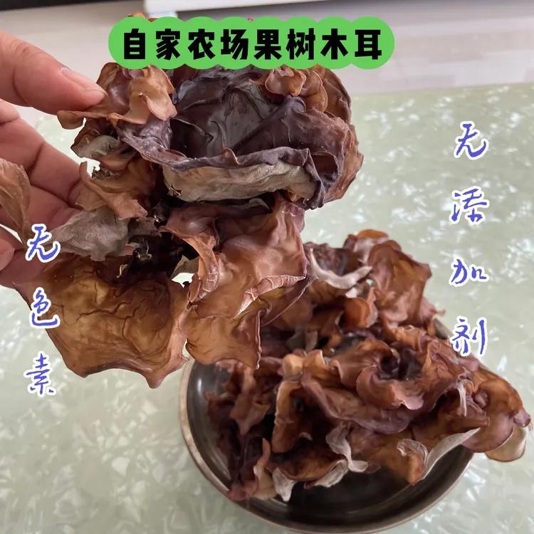 果木木耳新鲜干货无硫河南特产