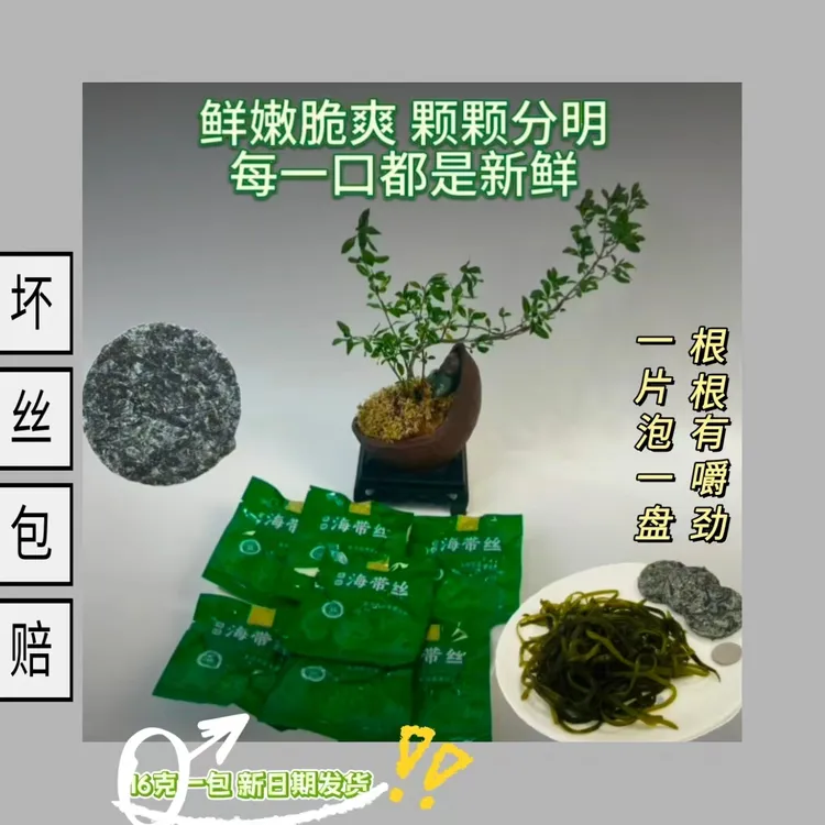 压缩海带丝无盐圆饼压缩片凉拌烘干小包装海带丝有机纯天然压缩饼