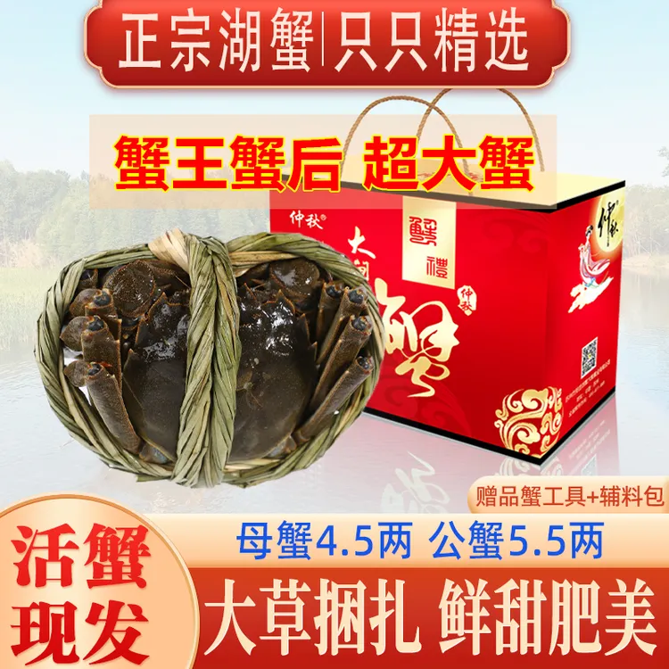 【活蟹】公蟹5.5两母蟹4.5两买4只送2只精品大闸蟹鲜活螃蟹