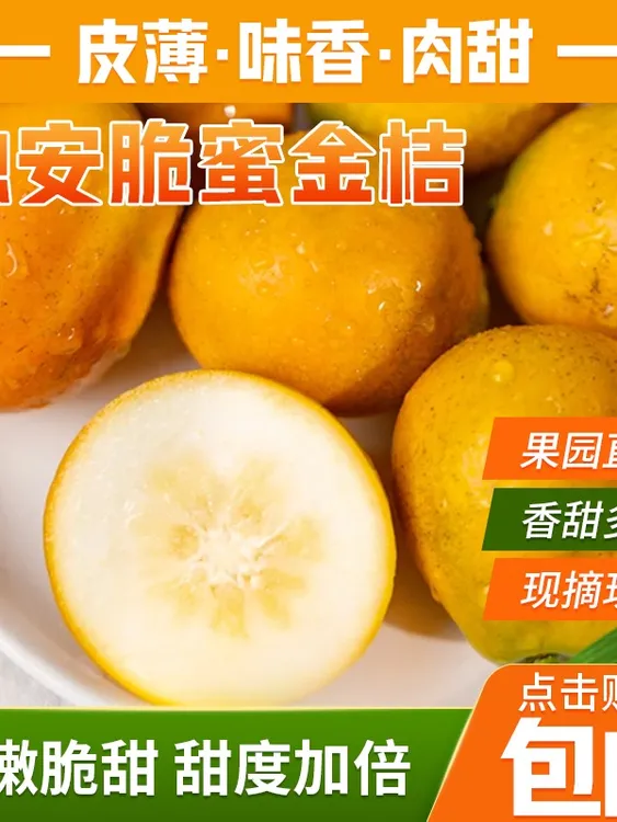 广西正宗第三代融安脆蜜金柑金桔当季现摘爆甜新鲜水果清香