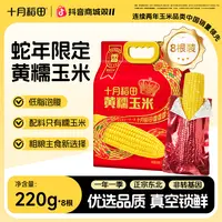 蛇年款 十月稻田黄糯玉米棒香甜糯东北低脂饱腹早餐夜宵粗粮轻食