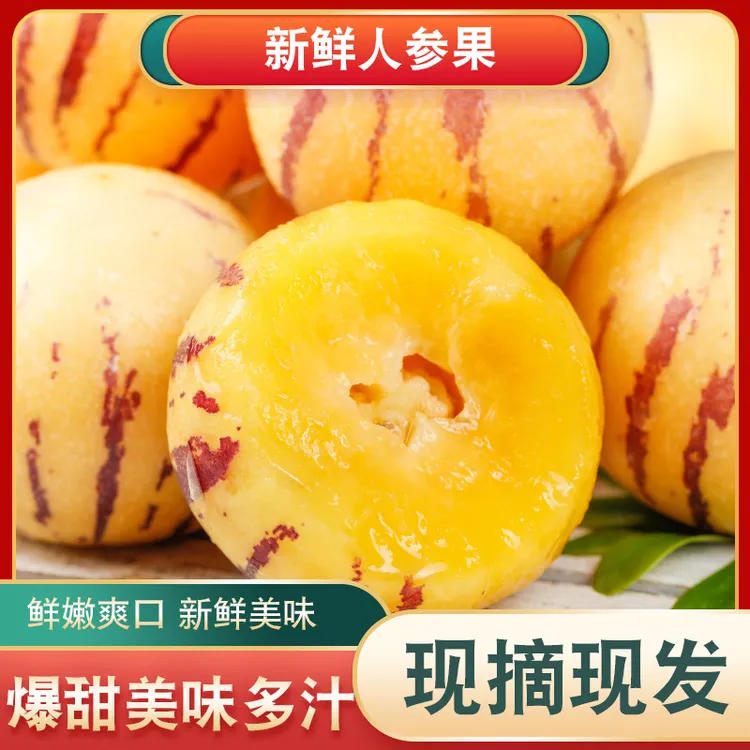 云南石林人参果净重4.5斤黄肉黄心圆果树上熟清甜多汁当季水果