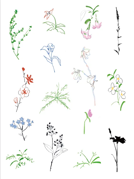 摸鱼公园 | 自然植物系 | ins风纹身贴 | 临时浪漫 | 防水持久