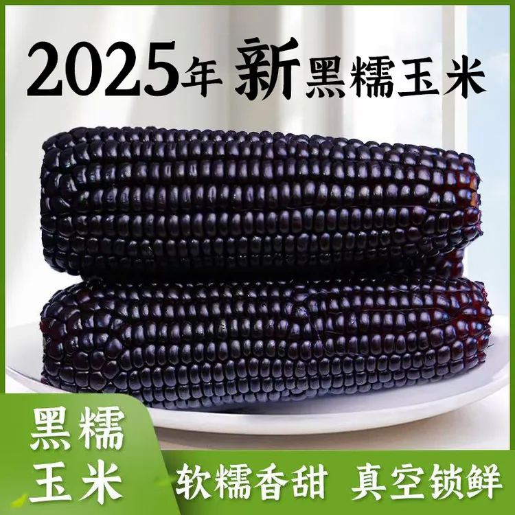 逅甜2025年头茬黑糯玉米绿色食品真空包装220克8支甜糯饱满减脂