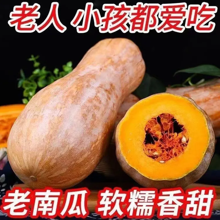 正宗云南高原蜜本甜糯香甜新鲜当季板栗农家正品批发辅食蔬菜整箱