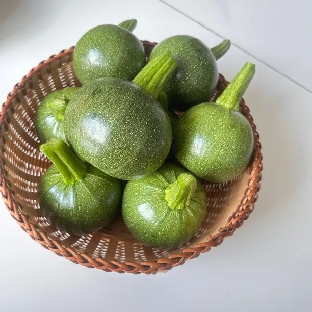 当季新鲜现摘嫩南瓜云南贵州小圆瓜美味蔬菜