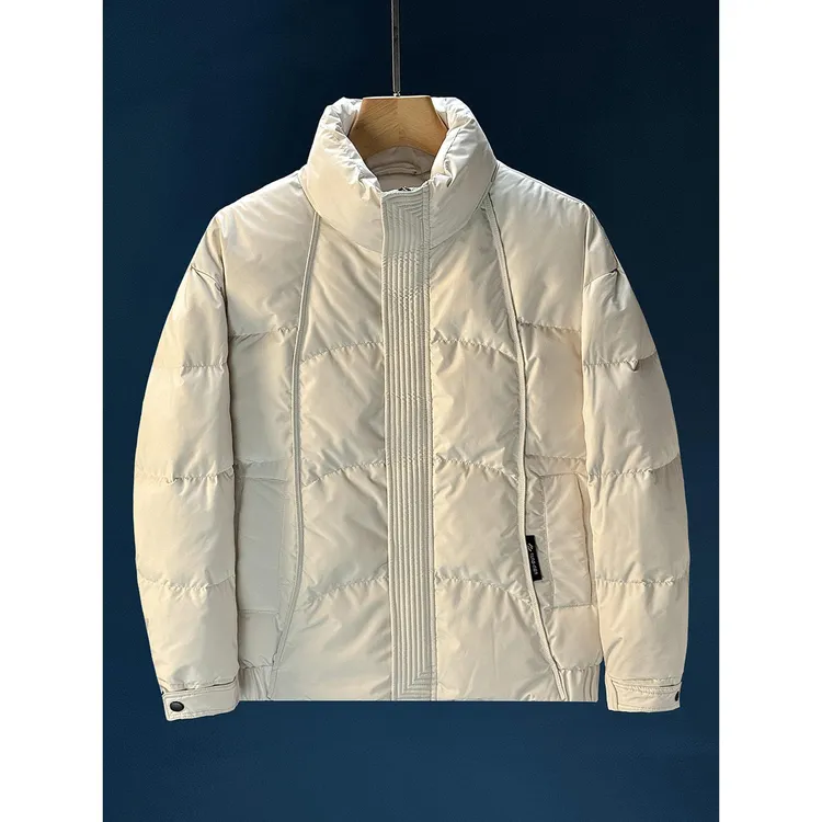 欧货高质感极简立领羽绒服男士冬季保暖外套2025新款休闲冬装防寒