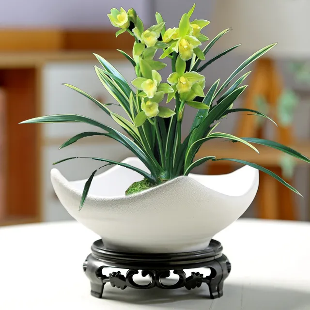 新客立减苔藓球托盘花盆陶瓷盆中式亚光桌面摆件水培米竹菖蒲盆托