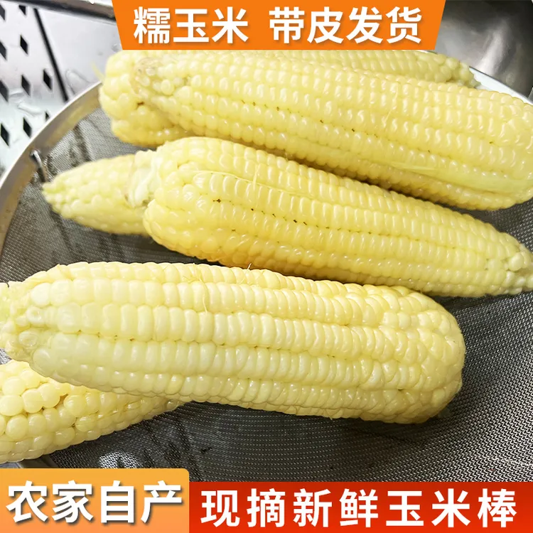 苏北白糯玉米农家现摘新鲜香甜软糯玉米代餐粗粮