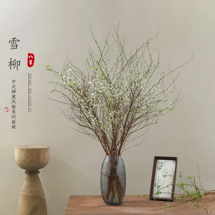 重瓣雪柳干枝支鲜枝水养插花水培植物鲜花卉室内盆栽绿植龙柳好活