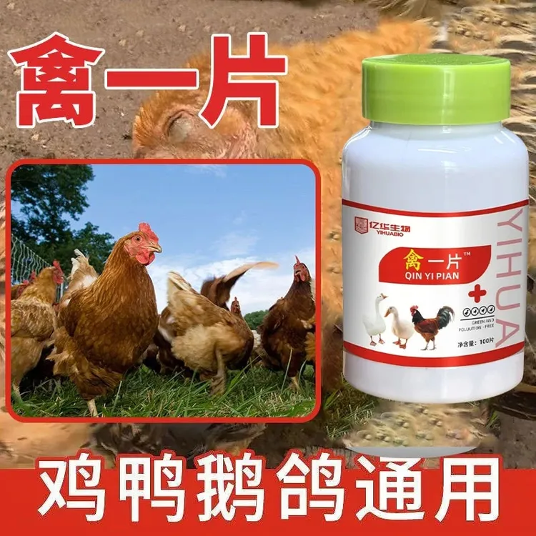 禽一片组合正品100片鸡鸭鹅专用家禽常备