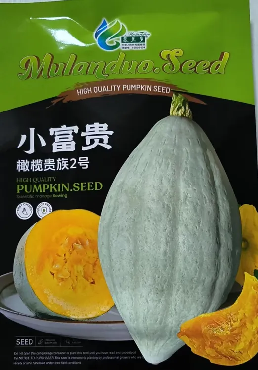 小富贵橄榄贵族南瓜种子