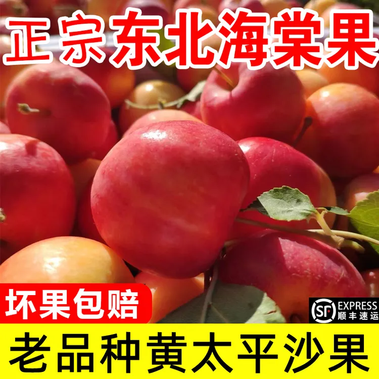 【老品种沙果】东北黄太平沙果顺丰海棠果特产小苹果新鲜孕妇酸水果